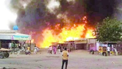 مجازر جديدة ترتكبها المليشيا بقرى الجزيرة 6 644627 0