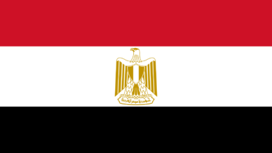 تحركات مصرية جديدة لحل الازمة السودانية 7 Flag of Egypt.svg 1