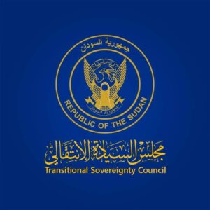 قرار مهم لمجلس الوزراء.. إليك التفاصيل