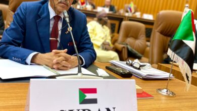 تفاصيل مشاركة وزير الخارجية بالقمة الإسلامية 9 IMG 20240505 WA0449