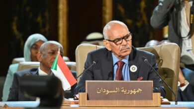 إجتماعات جامعة الدول العربية تناقش أزمة السودان 9 IMG 20240515 WA01921