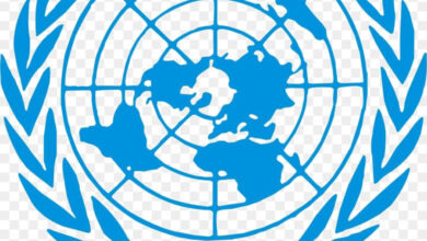 مسؤولة أممية تزف بشرى للسودانيين المقيمين بمصر 7 kisspng united nations security council model united natio unicef logo 5b501aa9e72236.5971866315319763619467