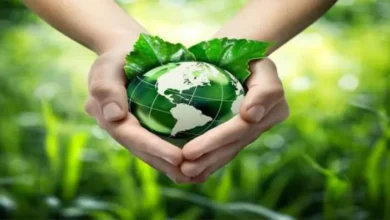 المبادرة الخضراء تحمي المملكة والمنطقة ككل من عوامل التغير المناخي 6 المبادرة الخضراء