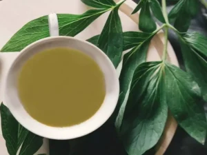 فوائد القهوة الخضراء
