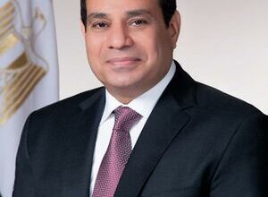 300px AbdelFattah Elsisi cropped