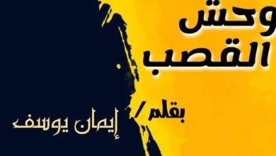 إصدارة جديدة للروائية إيمان يوسف