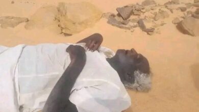 عشرات الأسر السودانية يموتون في طريقهم الى القاهرة 5 IMG 20240608 WA0515