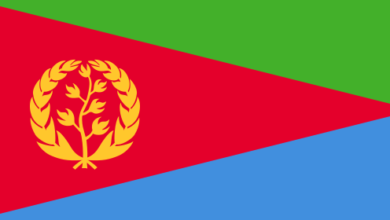 وفد إريتري يصل السودان ..ما القصة 6 Flag of Eritrea.svg