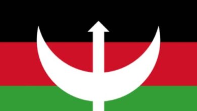 تشققات بحزب الأمة بسبب قضية التدخل الدولي 