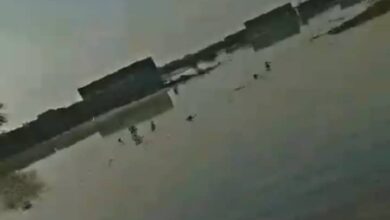 المليشيا تتجه إلى أسلوب إغراق قرى الجزيرة 9 المليشيا تتجه إلى أسلوب إغراق القرى بالجزيرة