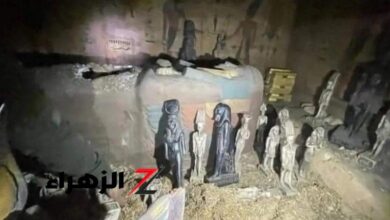 اكتشاف أثري خطير.. دولة عربية تمتلك متحفا تحت الأرض 7 IMG 20241008 WA0565