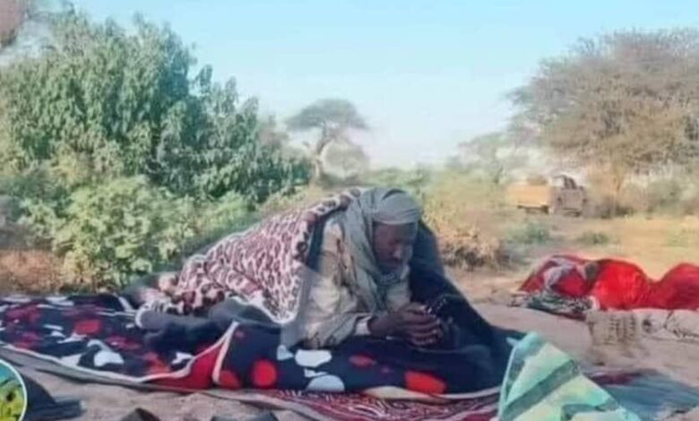 صور مثيرة للسخرية.. دقلو من القصر الى الصحراء 1 IMG 20241030 WA0344