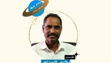 بكري المدني يكتب: خوف حميدتي! 6 بكري المدني يكتب: خوف حميدتي!