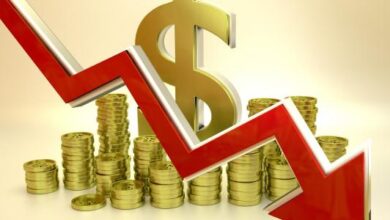 الإعلان عن إجازة ميزانية الدولة للعام 2025