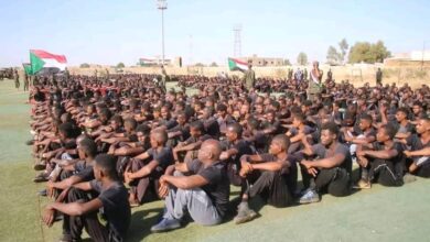 الجزيرة تستعد لهجوم كاسح 9 IMG 20241102 WA0226