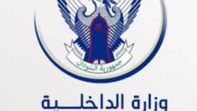 ولاية الخرطوم تكشف عن توقيف عدد ضخم من الأجانب 9 IMG 20241114 WA0027