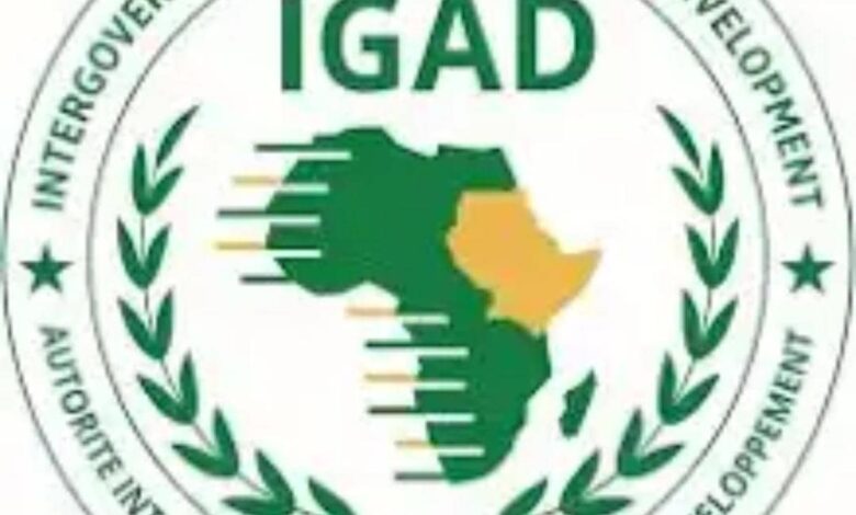 إيقاد تفجر مفاجأة بشأن نشر قوات أفريقية بالسودان 1 IMG 20241116 WA0016