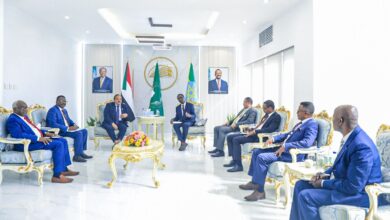 ظاهرة تدفق المرتزقة على منضدة اجتماع وزيري الخارجية السوداني والإثيوبي 12 IMG 20241126 WA0024