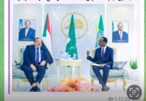 ظاهرة تدفق المرتزقة على منضدة اجتماع وزيري الخارجية السوداني والإثيوبي