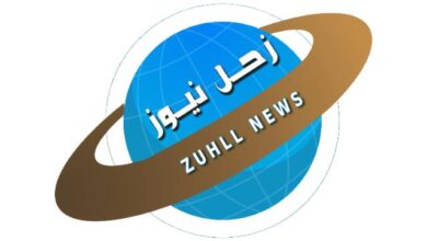 قد لا تصدق..صخرة سودانية ثمنها 700 دولار !! 9 واقعة أقرب إلى الخيال.. كيف تحول بائع خضار إلى إستاذ جامعي!