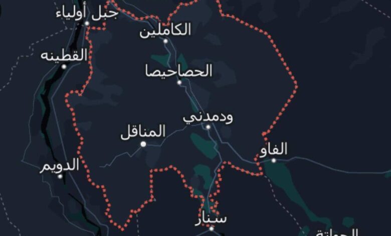 التحام جيشين بولاية الجزيرة 1 IMG 20241110 WA0023