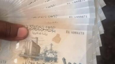 الكشف عن الموقف الآني لتوريد الفئات الورقية المستهدفة 6 IMG 20241218 WA0008