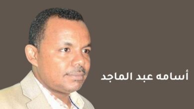 أسامة عبد الماجد يكتب: ابن الرئيس! 7 IMG 20241218 WA0010
