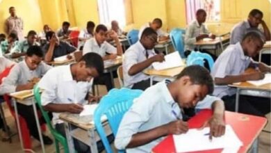 خبير تربوي يقدم نصائح لطلاب الشهادة السودانية 6 IMG 20241227 WA0373