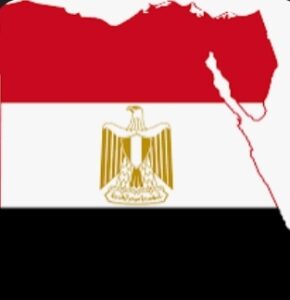 لقاء سوداني مصري يناقش قضية التعليم والإقامة 2 لقاء سوداني مصري يناقش قضية التعليم والإقامة