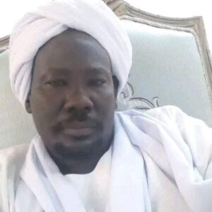 عبدالله إسماعيل قوات الحلو تطفئ نورا مضيئا بكادقلي