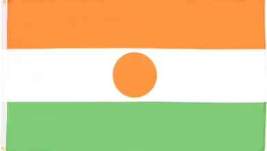 51Ub1gr8IyL. AC UF10001000 QL80 FMwebp