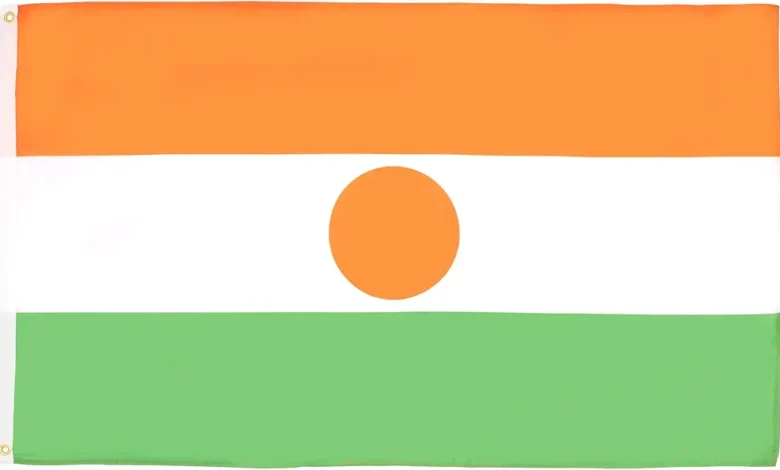 النيجر تحدد موقفها تجاه الحكومة الموازية بالسودان 1 51Ub1gr8IyL. AC UF10001000 QL80 FMwebp