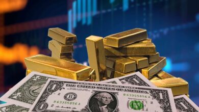 هل حدث تغيير في أسعار العملات الأجنبية بالسودان 5 usd us dollar gold brics