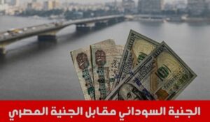 تراجع الجنيه المصري مقابل الجنيه السوداني 2 تراجع الجنيه المصري مقابل الجنيه السوداني