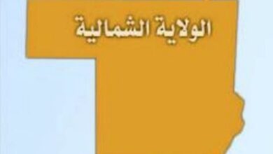 شئ مدهش يحدث في الدبة تجاه نازحي الفاشر!! 9 الولاية الشمالية