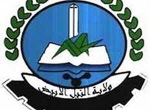تعرف على والي النيل الابيض الجديد 9 ولاية النيل الأبيض 300x283 1