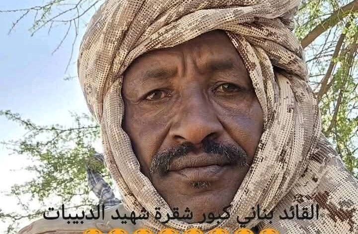 المليشيا تتلقى ضربة موجعة في هذه المناطق 1 IMG 20250529 WA0295