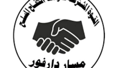 Joint Darfur Force Logo