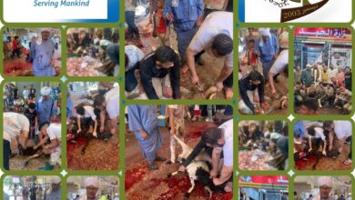 الإتحاد العربي للعمل التطوعي يدخل الفرحة لأكثر من 1500 أسرة سودانية بمصر 9 IMG 20250610 WA0089