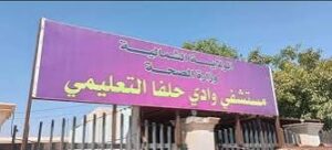 القنصلية المصرية تكشف عن إجراءات التأشيرة العلاجية 2 القنصلية المصرية تكشف عن إجراءات التأشيرة العلاجية