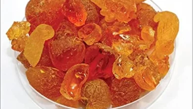 أسرار مدهشة عن شجرة الهشاب "منتجة الصمغ العربي" 7 61Cn0PCZASL. UF10001000 QL80 FMwebp