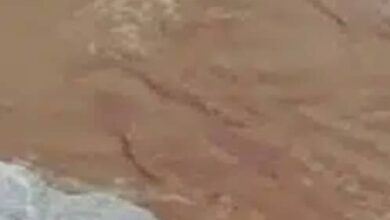 نهر القاش يسجل أعلى منسوب والسلطات تحذر! 7 IMG 20250722 WA0492