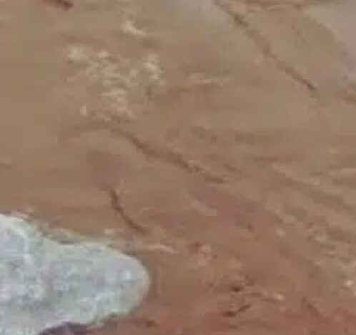 نهر القاش يسجل أعلى منسوب والسلطات تحذر! 1 IMG 20250722 WA0492
