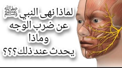IMG 20250820 WA0090