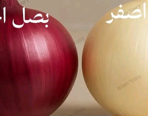 صحتك تهمنا.. كلوا البصل ولو كنتم في شهر العسل!! 1 IMG 20250829 WA0034