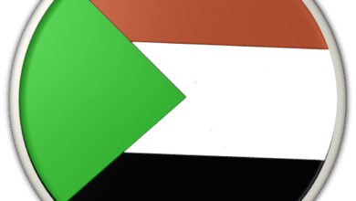 الدولة والجسد.. السودان نموذجًا للتعافي والنهضة (1) 10 Round Flag of Sudan