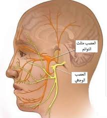 هل تعلم مضار الضرب على الوجه.. لن تصدق!