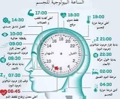لماذا يجب أن ينام الإنسان مبكرا ويصحو مبكرا 2 لماذا يجب أن ينام الإنسان مبكرا ويصحو مبكرا