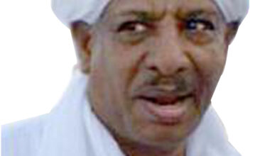 محجوب عروة: جزيرة توتي عاصمة على أحدث طراز 8 عروه 1