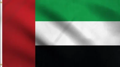 خبر سار من دبي للسودانيين!! 9 51gnWfEou6L. UF8941000 QL80 FMwebp 1